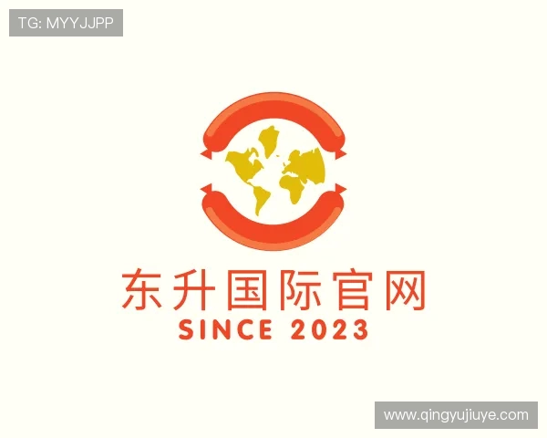 了解东升国际登录入口官网
